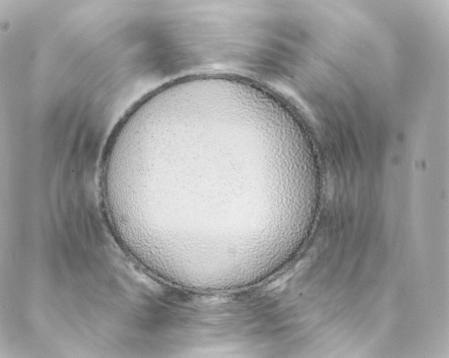 X0000088841278200706281812