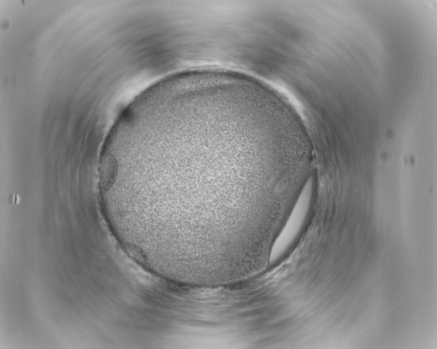 X0000088841279200706281812