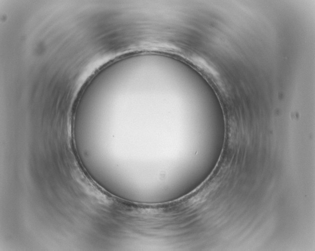 X0000088841280200706281812