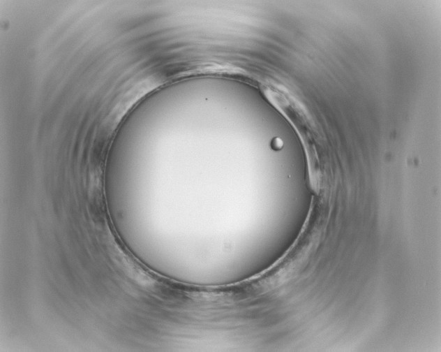 X0000088841281200706281812