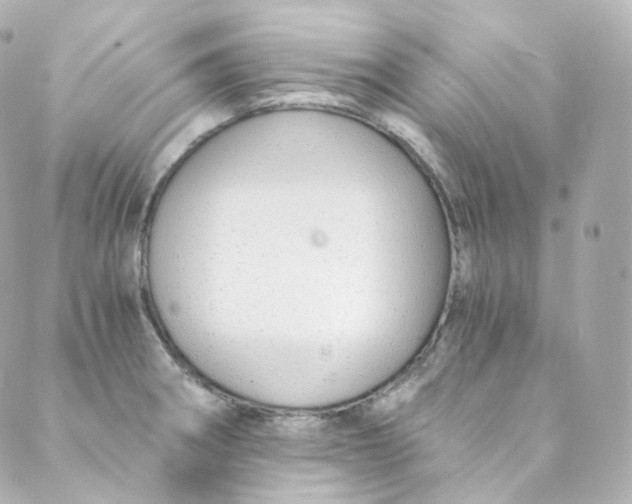 X0000088841282200706281812