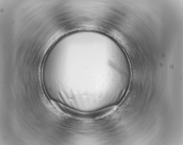 X0000088841283200706281812