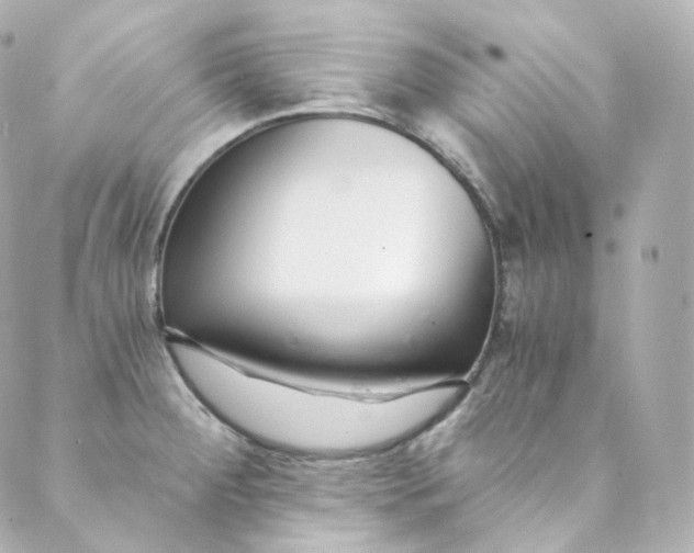 X0000088841284200706281812