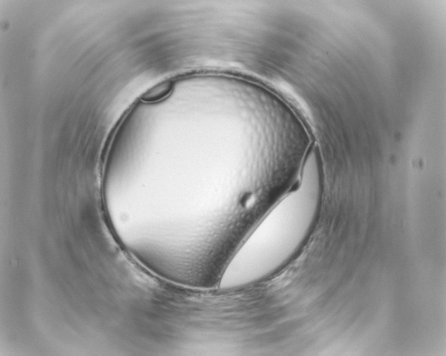 X0000088841287200706281812