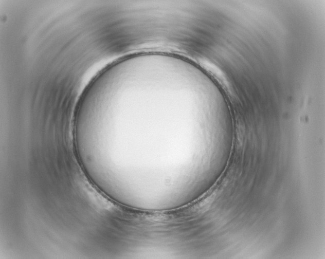 X0000088841288200706281812