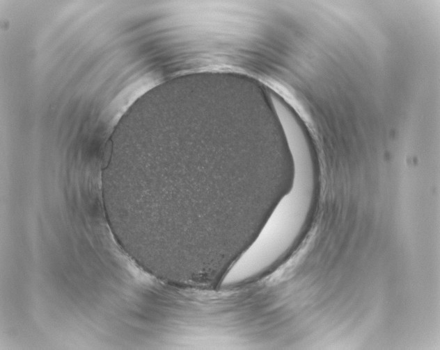 X0000088841289200706281812