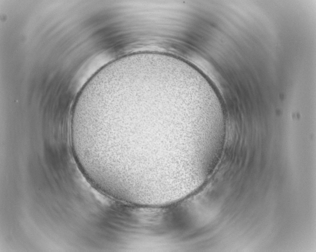 X0000088841290200706281812