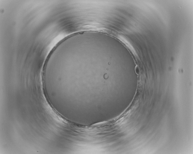 X0000088841291200706281812