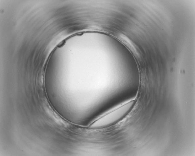 X0000088841292200706281812