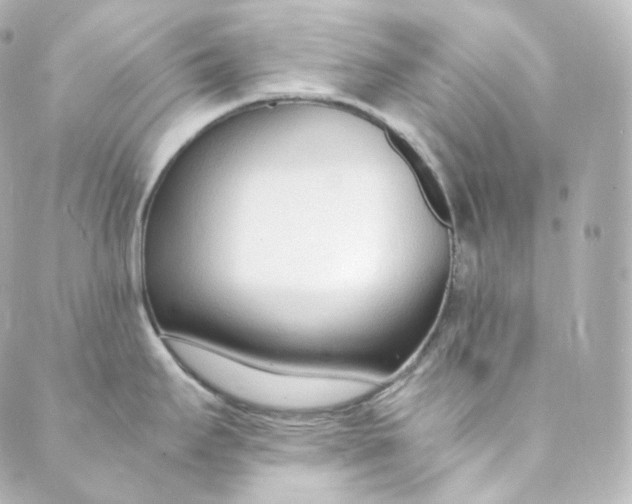 X0000088841295200706281812