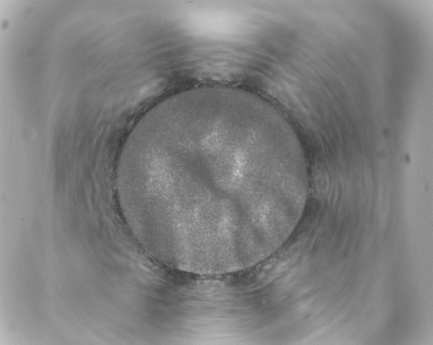 X0000088841297200706281811