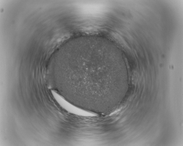 X0000088841298200706281811