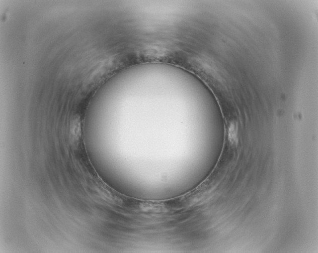 X0000088841299200706281811