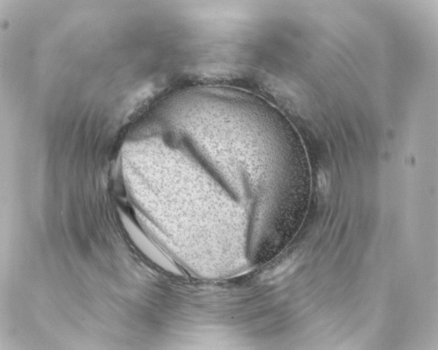 X0000088841300200706281811