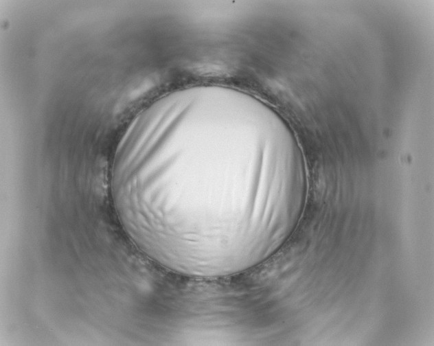 X0000088841301200706281811