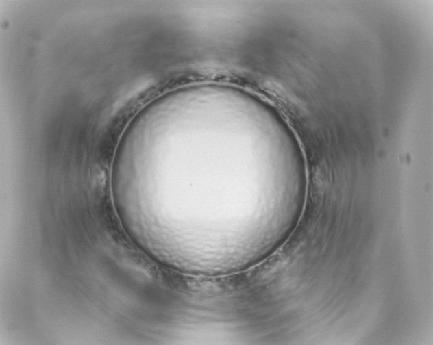 X0000088841302200706281811