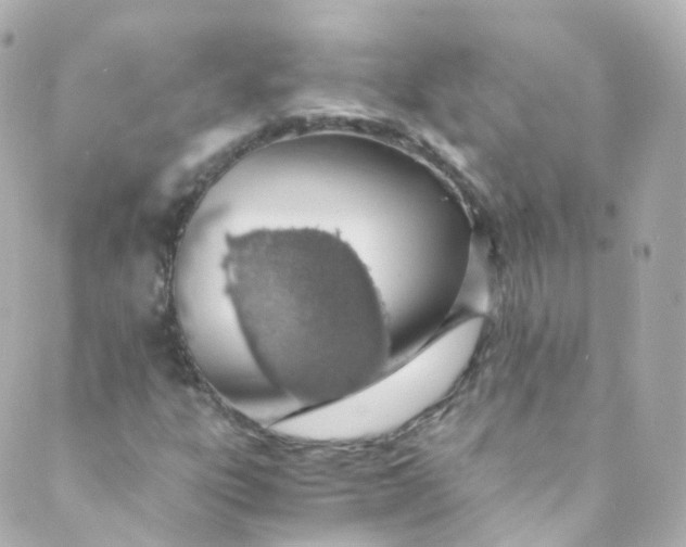 X0000088841303200706281811