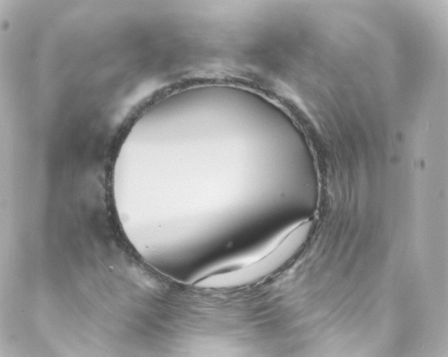 X0000088841304200706281811