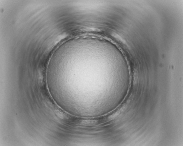 X0000088841305200706281811