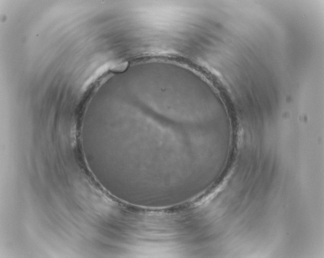 X0000088841306200706281811