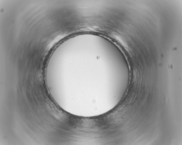 X0000088841308200706281811