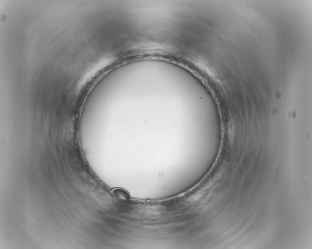 X0000088841309200706281811