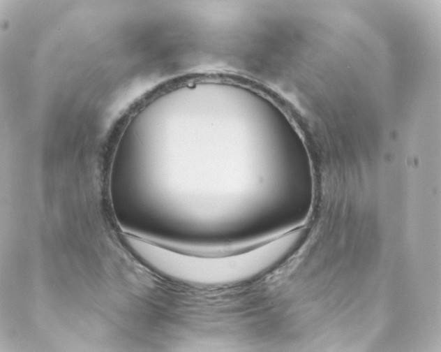 X0000088841311200706281811