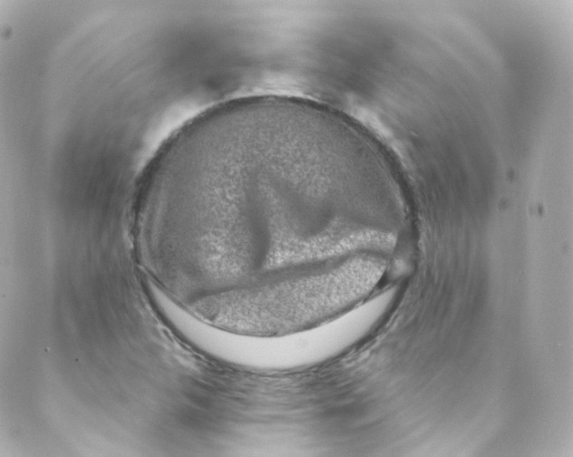 X0000088841312200706281811