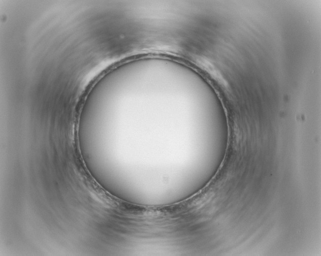 X0000088841316200706281811