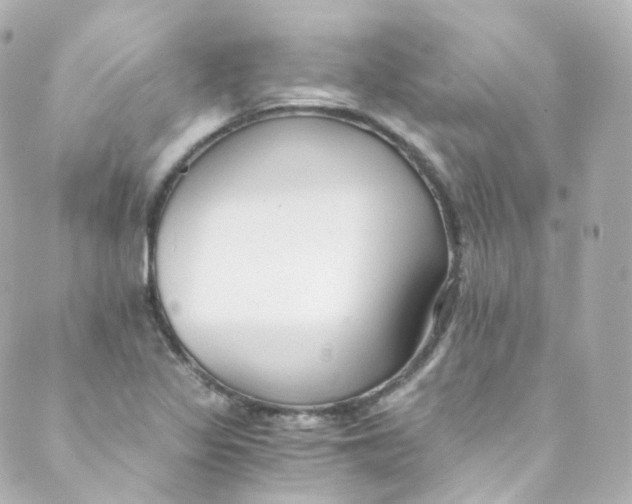 X0000088841317200706281811