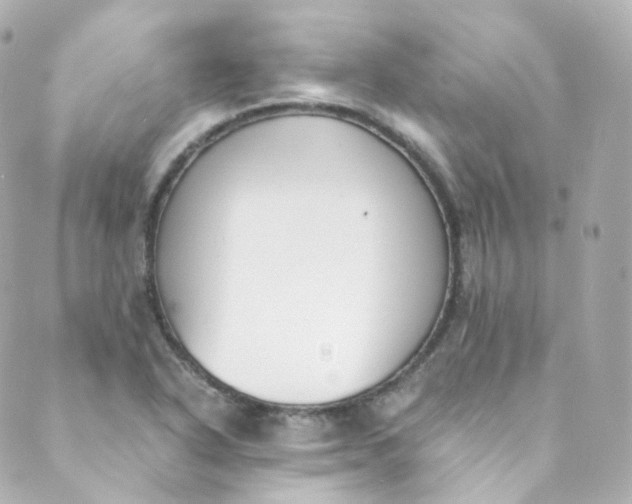 X0000088841318200706281811