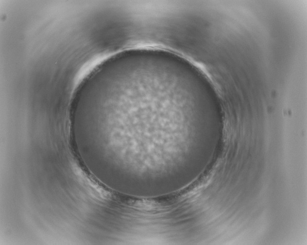 X0000088841319200706281811