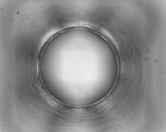 X0000088841320200706281811