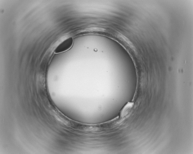 X0000088841321200706281811