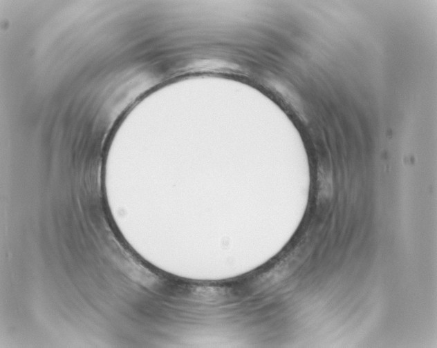 X0000088841322200706281811