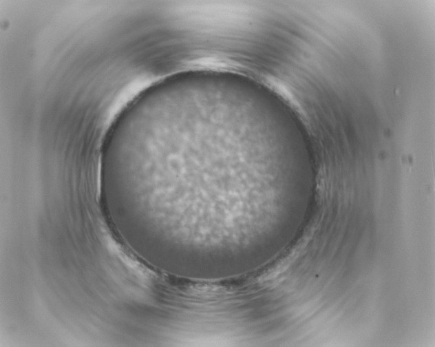 X0000088841323200706281812