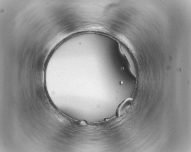 X0000088841324200706281812