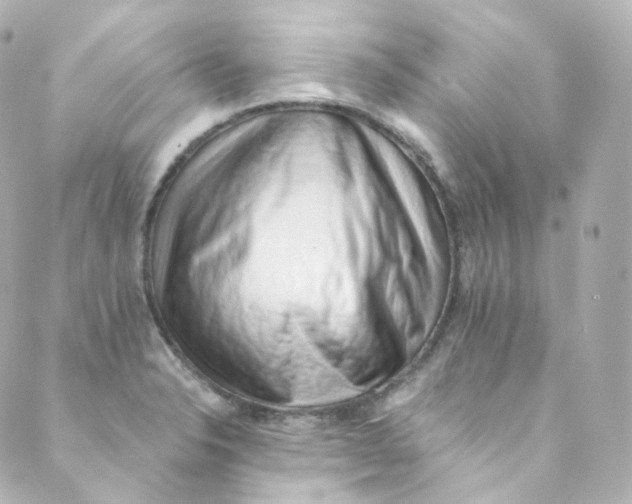 X0000088841326200706281812