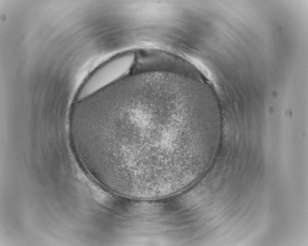 X0000088841327200706281812