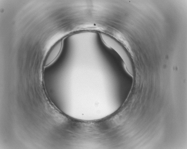 X0000088841328200706281812