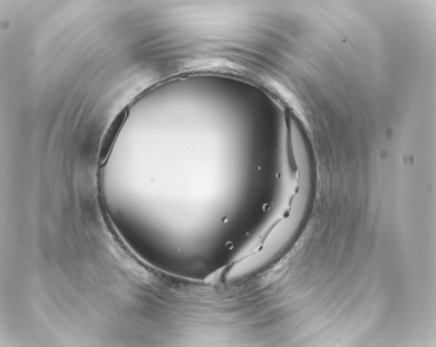 X0000088841330200706281812