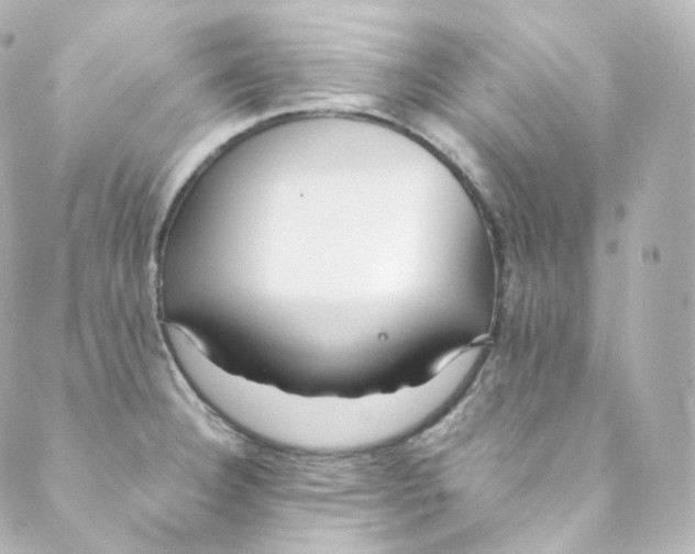 X0000088841332200706281812