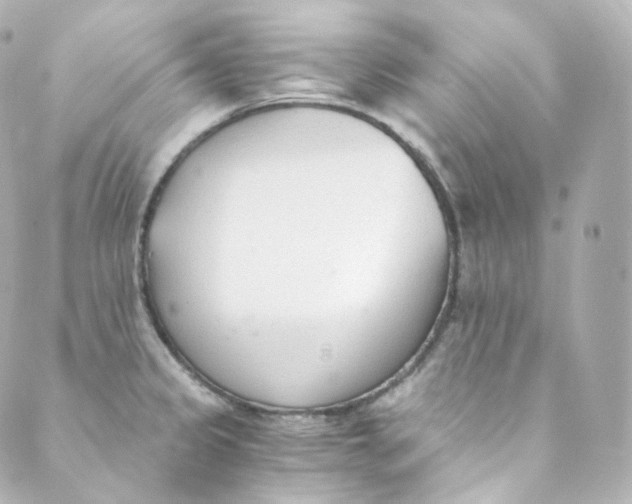 X0000088841333200706281812