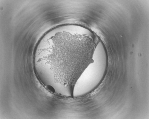 X0000088841334200706281812