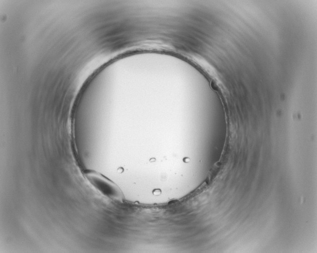 X0000088841335200706281812