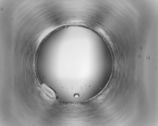 X0000088841336200706281812