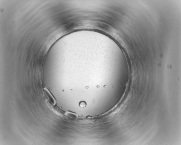 X0000088841337200706281812