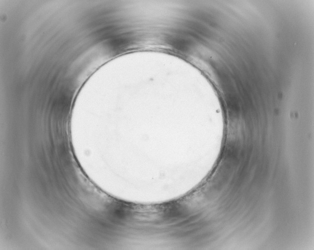 X0000088841338200706281812