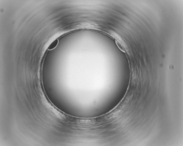 X0000088841339200706281812