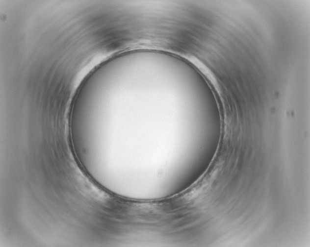 X0000088841341200706281812